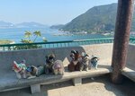 IMG-20250111-WA0020