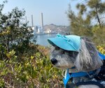 南丫島發電廠
IMG-20250111-WA0026