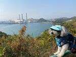 南丫島發電廠和大灣肚沙灘

IMG-20250111-WA0030