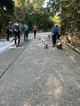 往風車途中
IMG-20250111-WA0032