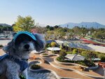 遠處八仙嶺
20250115_161448