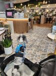 圍方覓食
20250117_000017