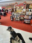 是日有市集
20250117_000036