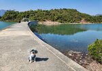 玉帶橋尾回望鹽田仔
IMG-20250119-WA0056