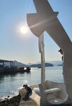 IMG-20250119-WA0078