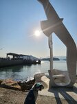 歸航和碼頭
IMG-20250119-WA0079