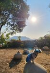 陽光普照
IMG-20250119-WA0084
