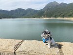 大嶼山石壁水塘