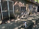 西灣山炮台