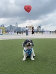 東岸公園