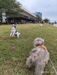 觀塘海濱