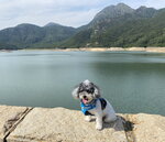 大嶼山 石壁(1)