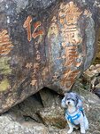薄扶林水塘 (1)
