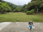 大嶼山橫塘營地 (2)