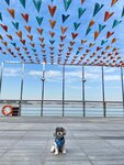 東涌海濱 (2)