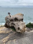 長洲 (3)