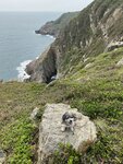 東龍島露營 (4)