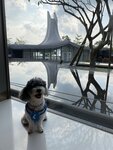 西貢WM (2)