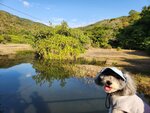 牛牯灣
IMG-20250123-WA0038