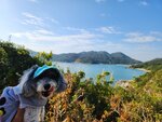 路中可見到我地露營位對出的沙灘(相右)
IMG-20250123-WA0039