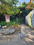 落抵梅窩碼頭路
IMG-20250123-WA0041