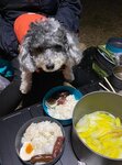 IMG-20250123-WA0061