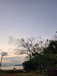 第二天早上好密雲
IMG-20250123-WA0065