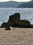 原來沙灘可見到在芝麻灣一角的肥豬石
IMG-20250123-WA0077