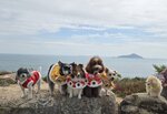 遠處海中橫瀾島(左)和宋崗(右)
20250131_000020