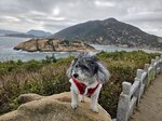 五分洲和鶴咀山

20250131_000026