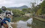芝麻灣道望芝麻灣半島老人山
20250205_000017