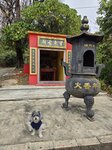 望東灣中望東古廟
20250205_000025