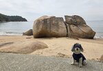 望東灣沙灘中一豬仔石
20250205_000026