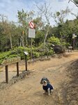 接芝麻灣郊遊徑左走
\20250205_000031