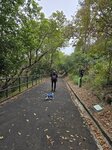 坪洲配水庫馬路亦是坪洲家樂徑
20250215_122140