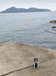 遙望周公島
20250215_125316