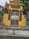 圓通講寺
20250215_130518