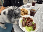 返回碼頭附近食個晏先
20250215_135203