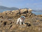 大利島上烏龜石
20250215_144259