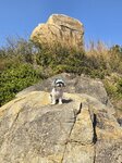 釣魚公石又叫坪洲史諾比石20250215_150722