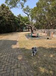 夏力道旁晨運地
20250218_110719
