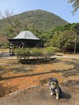 西高山和山腳涼亭
20250218_111730