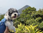觀景位望西高山
20250218_114130