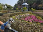 山頂花園中
20250218_115313