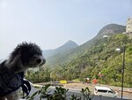 左西高山, 右太平山
20250218_130136