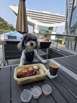 山頂廣場食晏望凌霄閣
20250218_132217