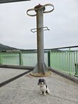 海洋中心內小燈塔
20250222_000030