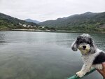 碼頭望海下灣沙灘
20250222_000032
