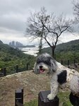 入口對面見企嶺下海
20250301_120244