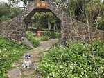 開始行企嶺下樹木研習徑
20250301_121640